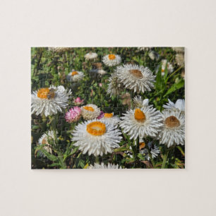 Strohblumen Puzzle