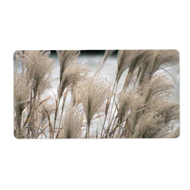 Strohhalm im Winter (Vorne)