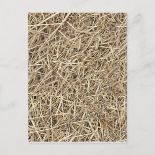 Strohhalm Postkarte