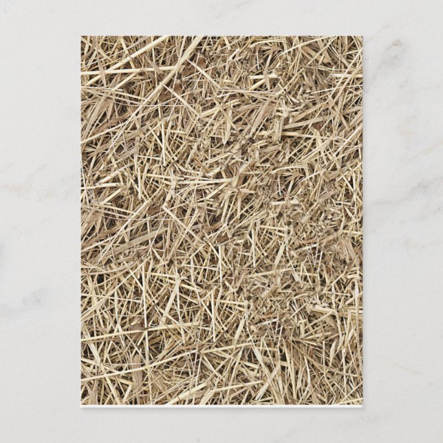 Strohhalm Postkarte (Vorderseite)