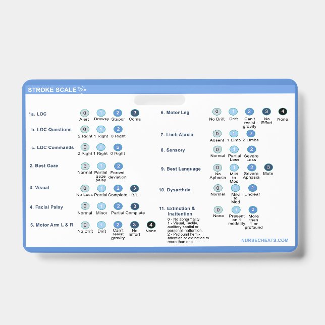 Stroke Scale Abzeichen Companion Ausweis (Vorderseite)
