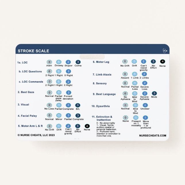 STROKE SCALE AUSWEIS (Vorderseite)