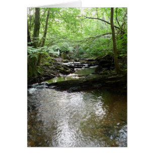 "Strom in Northumberland-Holz" (2)