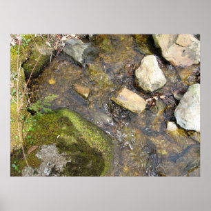 Strom von consciouness poster