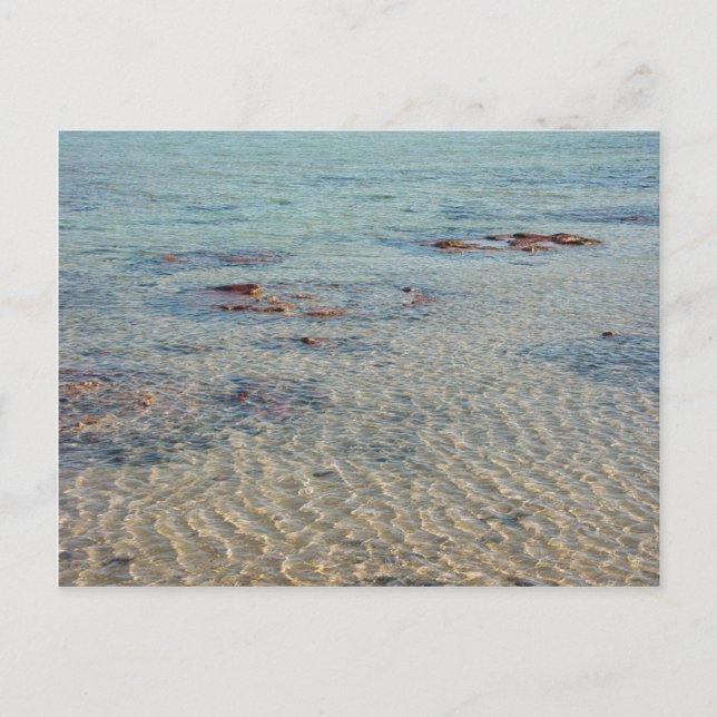 Stromatolites an der Haifisch-Bucht Postkarte (Vorderseite)