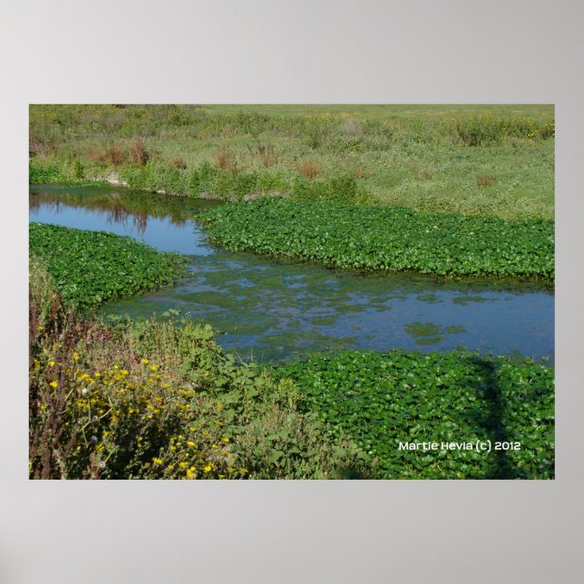 Ströme von Grün Poster (Vorne)