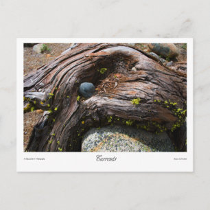 Strömungsprints Postkarte