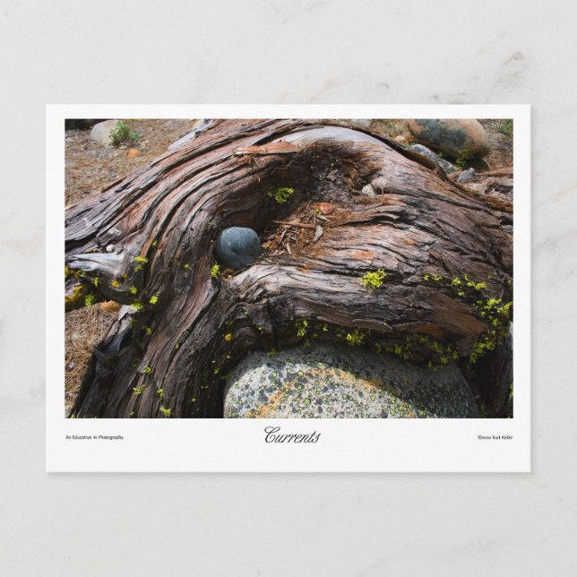 Strömungsprints Postkarte (Vorderseite)