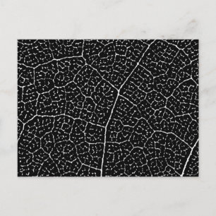 Struktur der Leaf-Venen Postkarte