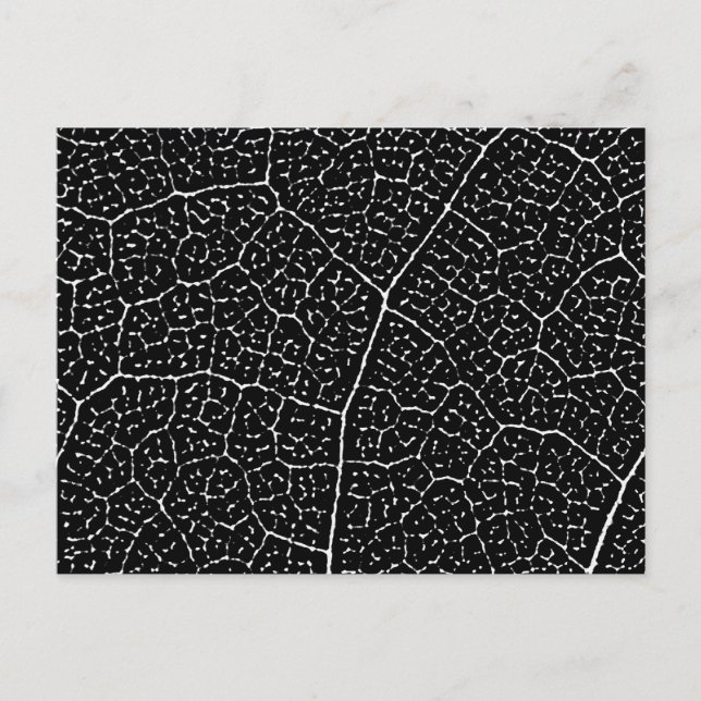 Struktur der Leaf-Venen Postkarte (Vorderseite)