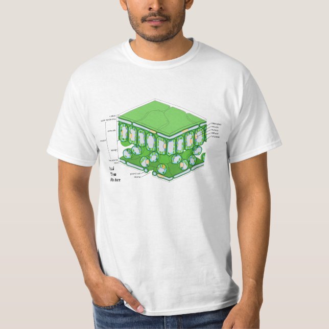 Struktur der linken Gewebe T-Shirt (Vorderseite)