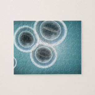 Struktur der MRSA Puzzle