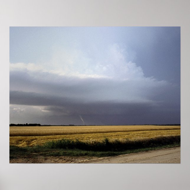 Struktur der Superzelle Poster (Vorne)