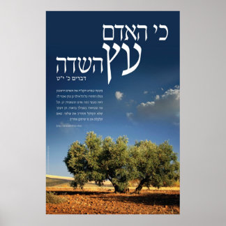 Struktur des Felds Poster