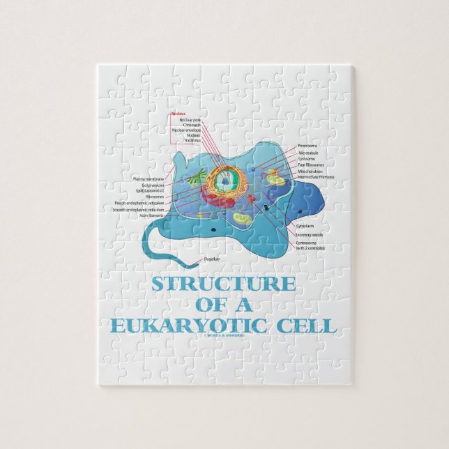 Struktur einer Eukaryotic Zelle (Eukaryote) Puzzle (Vertikal)