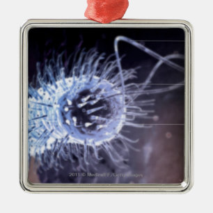 Struktur einer helicobacter Pförtnerzelle Ornament Aus Metall