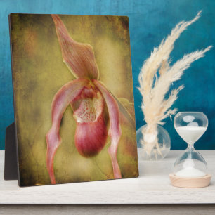 Strukturierte Frauenschuh Orchidee Fotoplatte