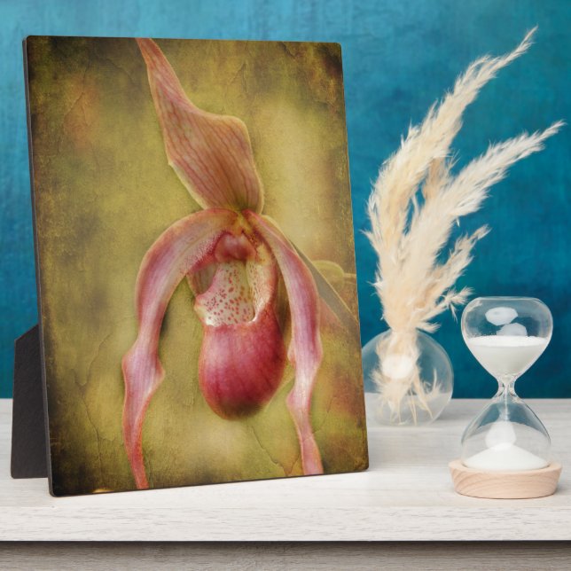 Strukturierte Frauenschuh Orchidee Fotoplatte (Seite)