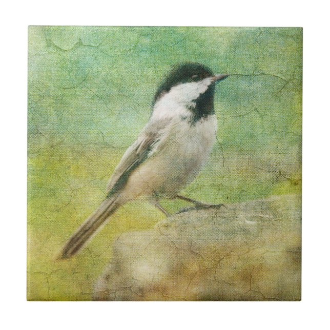 Strukturierter Chickadee Fliese (Vorderseite)