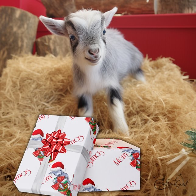 Strumpf Baby Goat Weihnachtswrapping Paper Geschenkpapier (Von Creator hochgeladen)