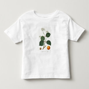 Strychnos Nuxeiterauswurf von 'Phytographie Kleinkind T-shirt