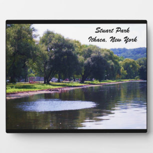 STUART PARK, ITHACA, N.Y. FOTOPLATTE