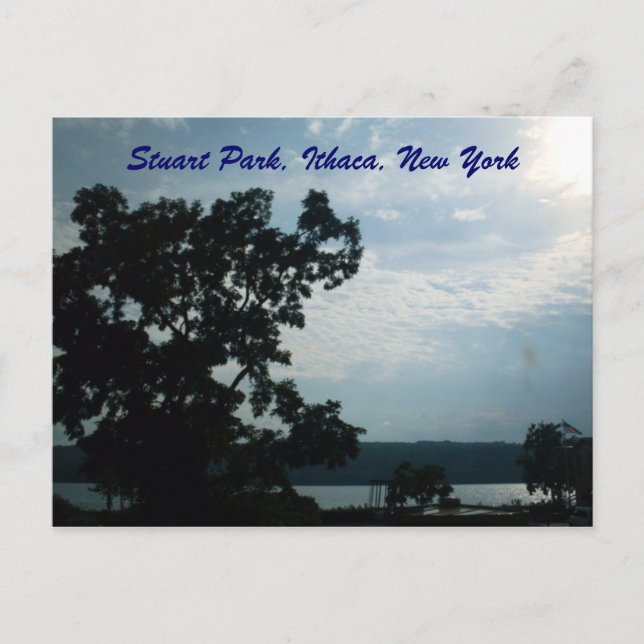 STUART PARK, ITHACA, NEW YORK Postkarte (Vorderseite)