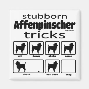 Stubborn-Affenpinsche Tricks Magnet