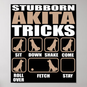 Stubborn Akita Tricks Design Poster