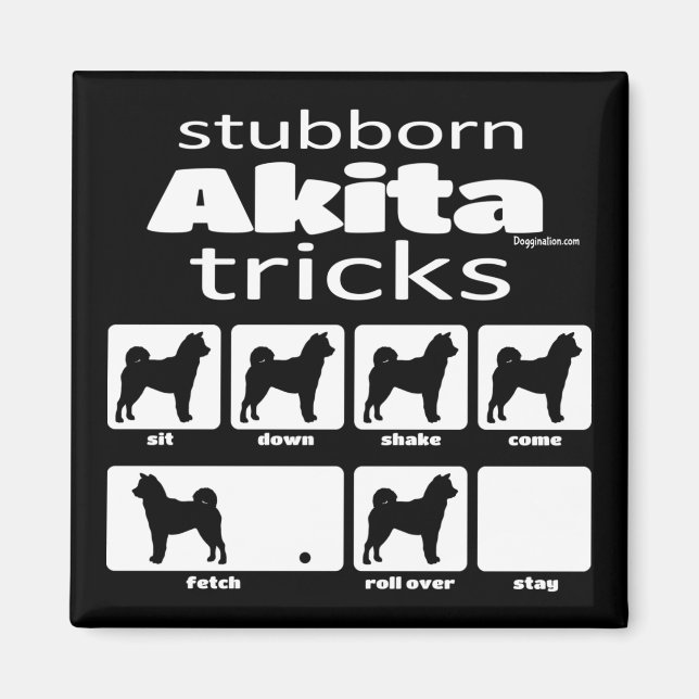 Stubborn Akita Tricks Magnet (Vorne)
