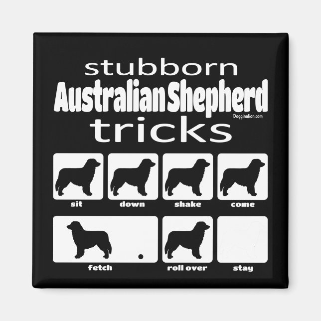 Stubborn Australian Shepherd Tricks Magnet (Vorne)