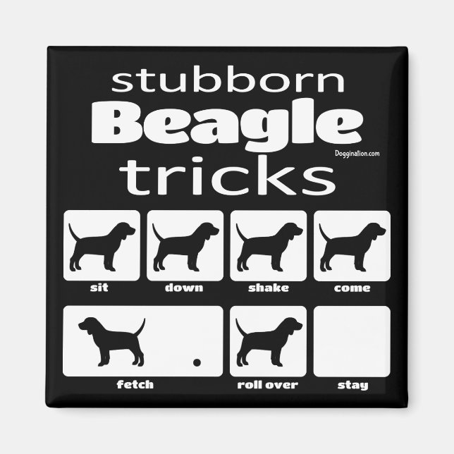 Stubborn Beagle Tricks Magnet (Vorne)
