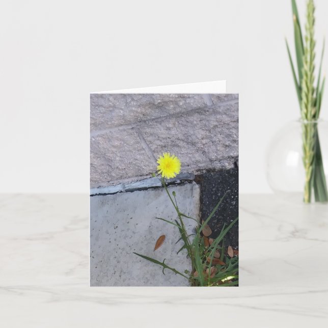 Stubborn Beauty 2 auf einer Notenkarte (Vorderseite)