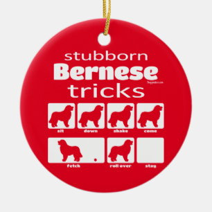 Stubborn Bernese Tricks Keramik Ornament