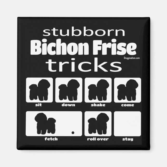 Stubborn Bichon Frise Tricks Magnet (Vorne)