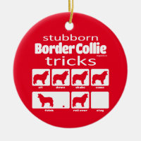 Stubborn Border Collie Tricks