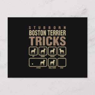 Stubborn Boston Terrier Tricks Dog Lover T - Shirt Ankündigungspostkarte