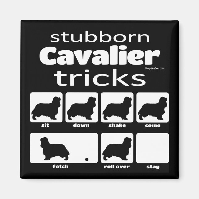 Stubborn Cavalier Tricks Magnet (Vorne)