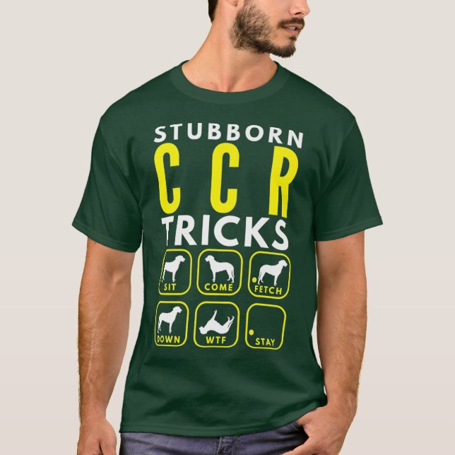 Stubborn CCR Tricks - Hundetraining Premium T-Shirt (Vorderseite)