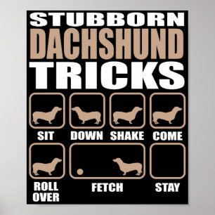 Stubborn Dackel Tricks Design Poster