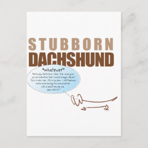 Stubborn Dackel...WHATEVER ! Postkarte