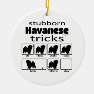 Stubborn Havanese Tricks Keramik Ornament