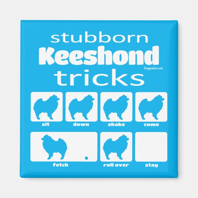 Stubborn Keeshond Tricks Magnet (Vorne)
