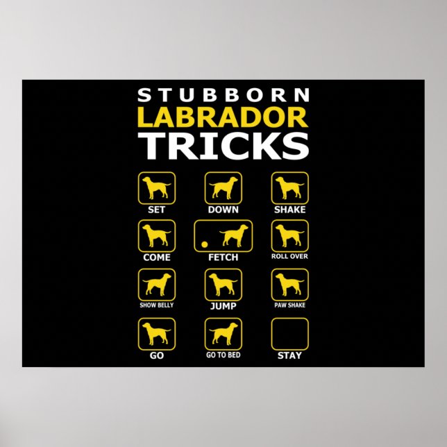 Stubborn Labrador Dog Tricks Funny Poster (Vorne)
