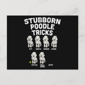Stubborn Poodle Tricks Funny Dog Lover Eigentümer Postkarte