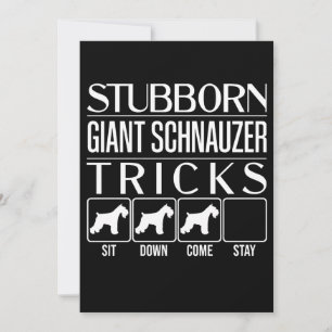 Stubborn, Riesenschnauzer, Funny Giant Schna Ankündigung