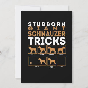 Stubborn-Riesenschnauzer-Hund-Tricks Grafik Ankündigung