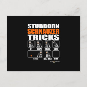 Stubborn Schnauzer Tricks Funny Schnauzer Geschenk Ankündigungspostkarte