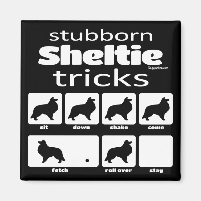 Stubborn Sheltie Tricks Magnet (Vorne)