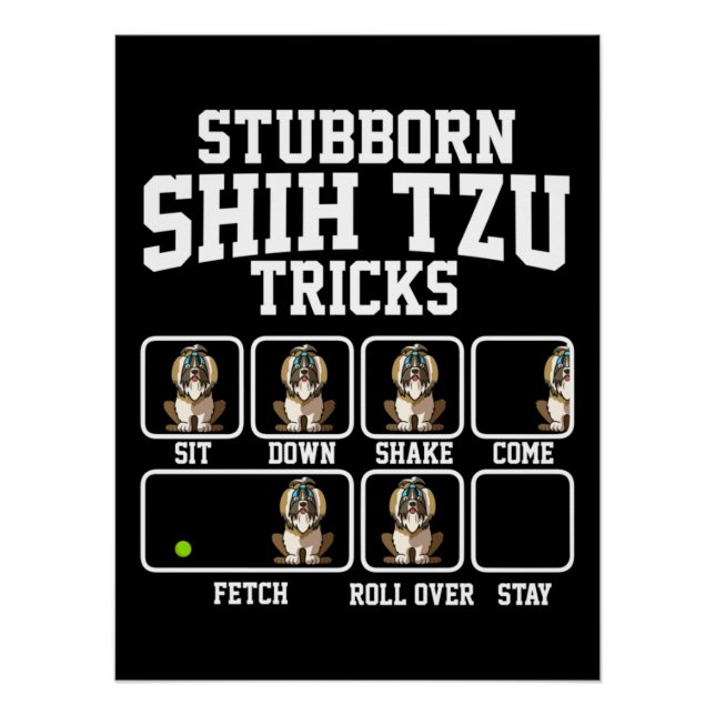 Stubborn Shih Tzu Dog Tricks Poster (Vorderseite)